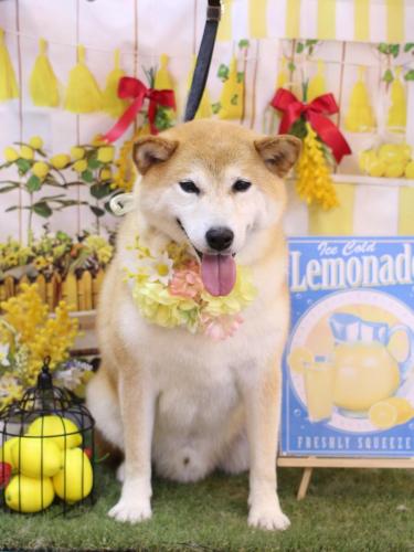 20240430平太くん